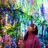 杉本 早希